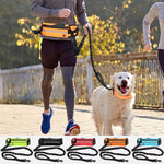 Hands Free Dog Leash for Running Walking Reflective Leash with Waist Bag Retractable Elastic Belt Dog Traction Rope Pet Products - Fortunato Store
